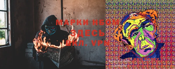 PSILOCYBIN Сафоново