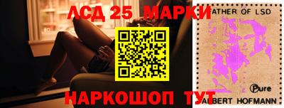 гидропоника Ставрополь