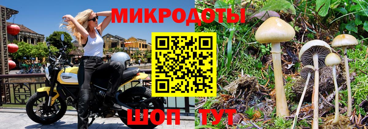 Галлюциногенные грибы мицелий  купить закладку  Родники  Вход с VPN 