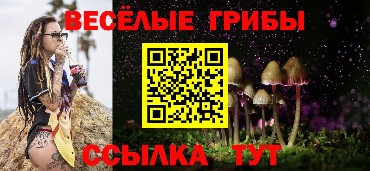 Галлюциногенные грибы мицелий Родники